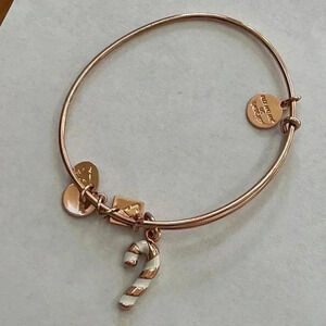 Alex and Ani Charity by design Candy Cane bangle